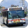 TARC fleet images